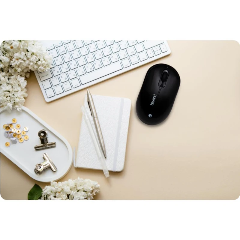 Beyond Mouse BM-3890 RF